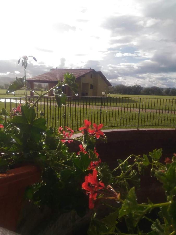 Agriturismo Oasi Del Pianettino Campagnatico Eksteriør billede