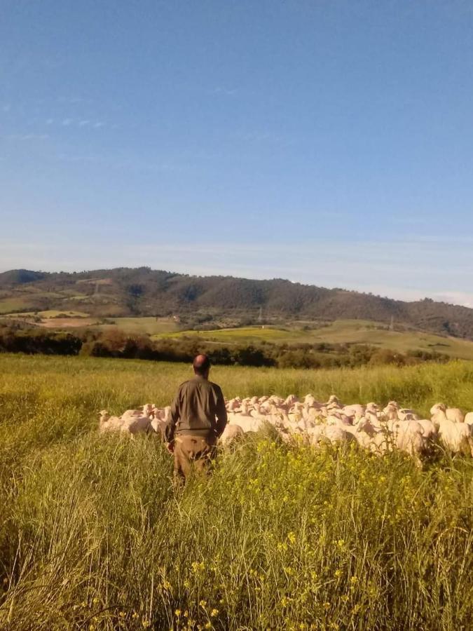 Agriturismo Oasi Del Pianettino Campagnatico Eksteriør billede